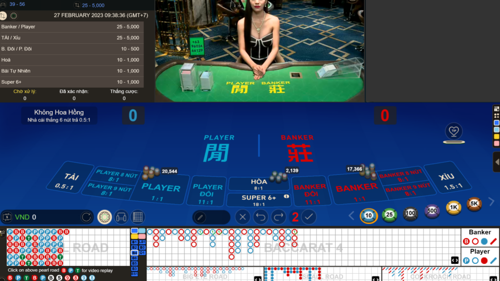 Cá cược baccarat