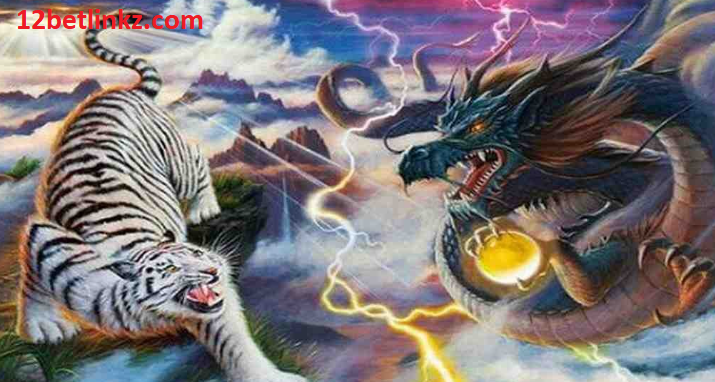 Những điều cần biết trước khi chơi Rồng Hổ