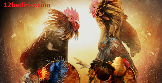 Đá Gà Trực Tuyến