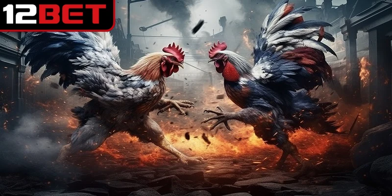 Đá Gà 12BET - Trải Nghiệm Những Cuộc Đấu Kịch Tính 3 Tỷ lệ kèo cược đá gà rất đa dạng, mang lại sức hút khó cưỡng