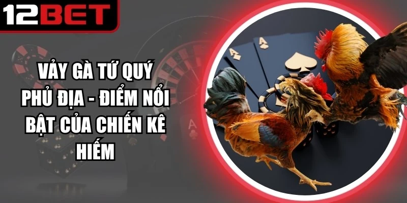  Vảy gà tứ quý phủ địa vẫn luôn nằm trong nhóm được sư kê ưu tiên